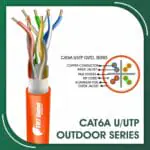 Network Cable